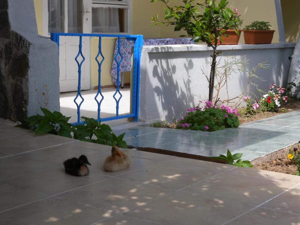 Eysan Pansiyon Akcay  Exteriér fotografie